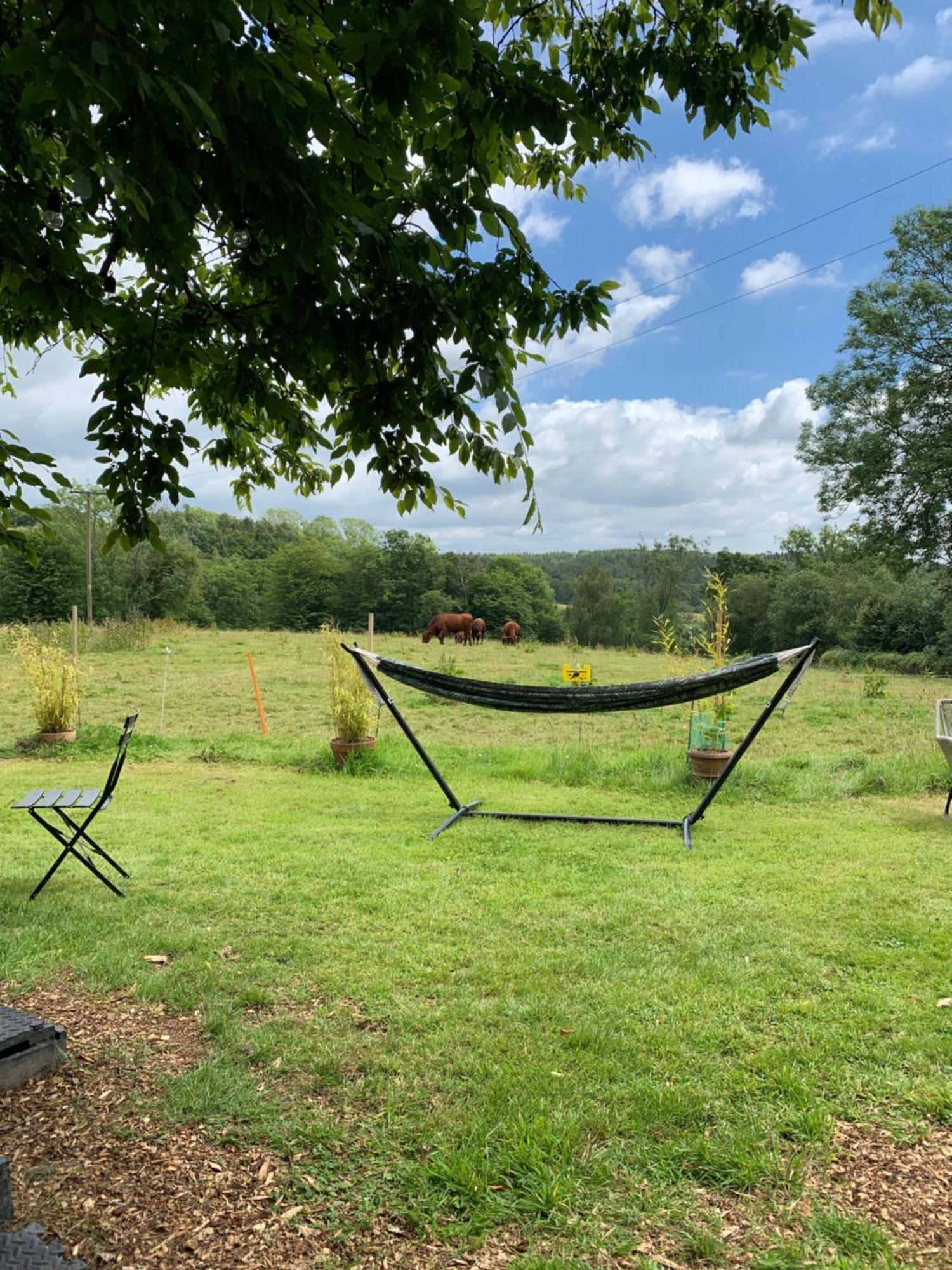American School Bus Retreat With Hot Tub In Sussex Meadow Uckfield Ngoại thất bức ảnh