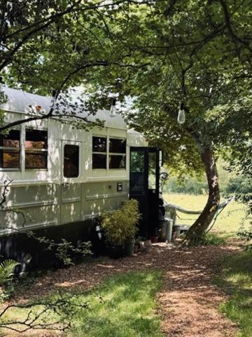 American School Bus Retreat With Hot Tub In Sussex Meadow Uckfield Ngoại thất bức ảnh